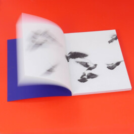 Studio Suze Swarte