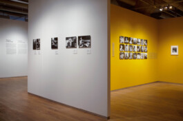 Studio Suze Swarte