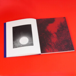 Studio Suze Swarte