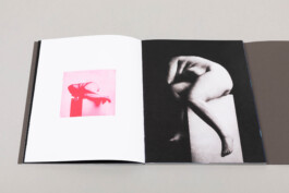 Studio Suze Swarte